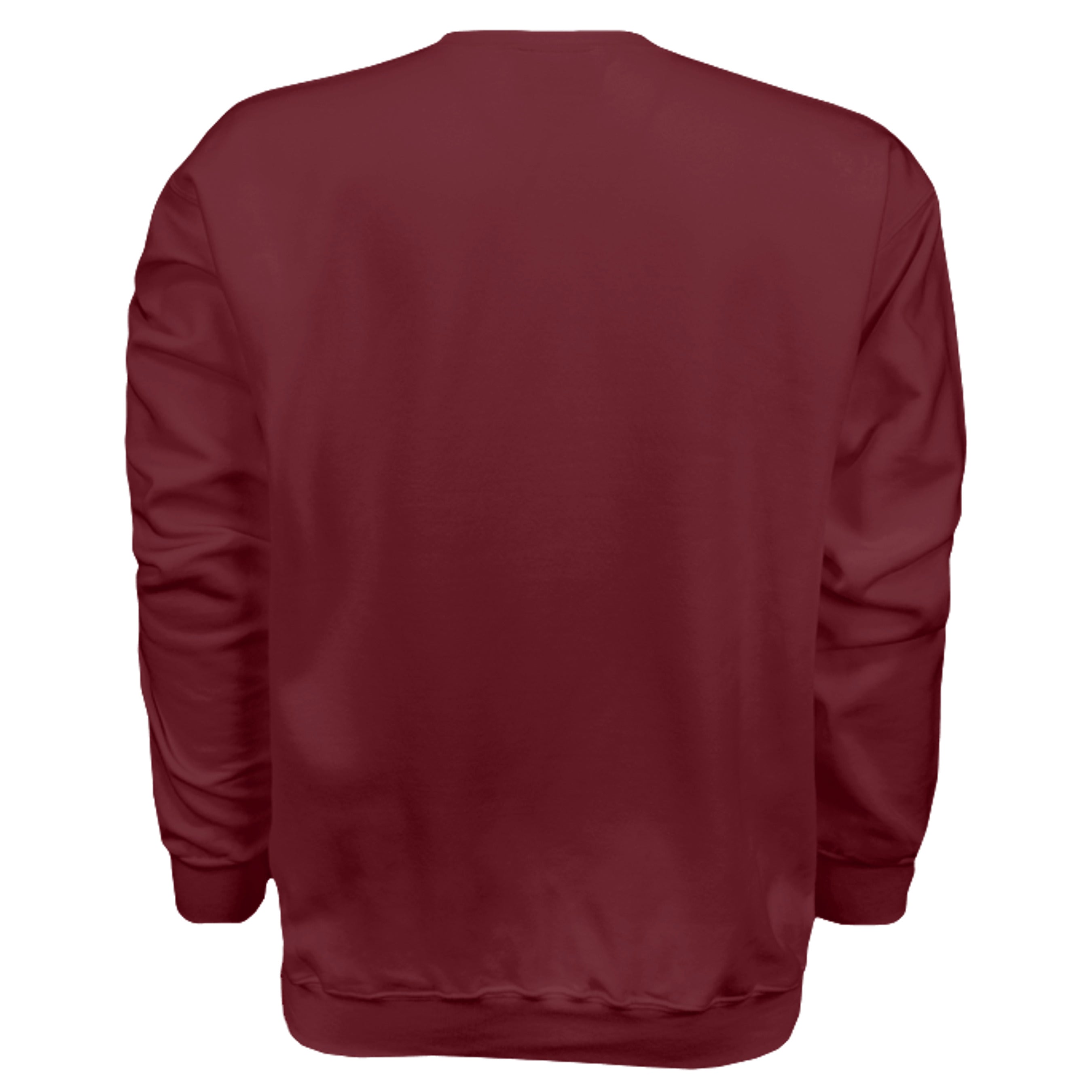 MAROON - F260 - BACK
